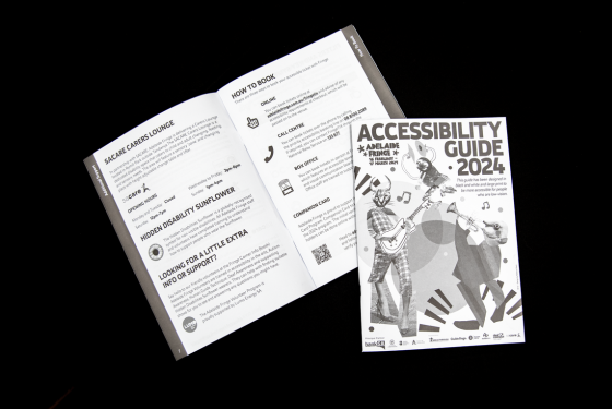Two Accessibility Guides against a black background, one open and the other closed showing the cover
