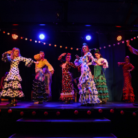 Flamenco dancers in colorful polka-dotted dresses performing on stage with expressive poses under festive lights.